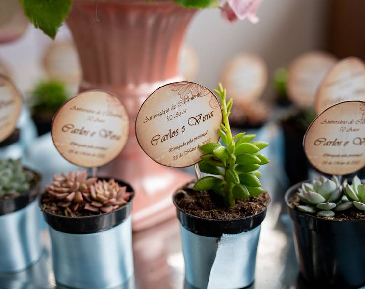 Bodas de Bodas de Ouro 50 anos de casados