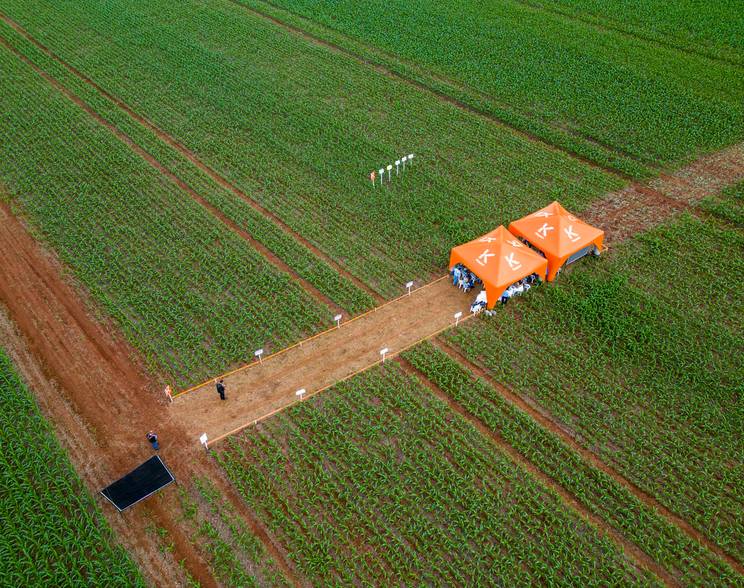 Eventos Corporativos de Dia de Campo Koppert AgroBelts 