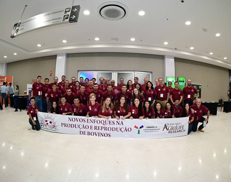 Eventos Corporativos de Novos Enfoques 2024 Conapec Júnior
