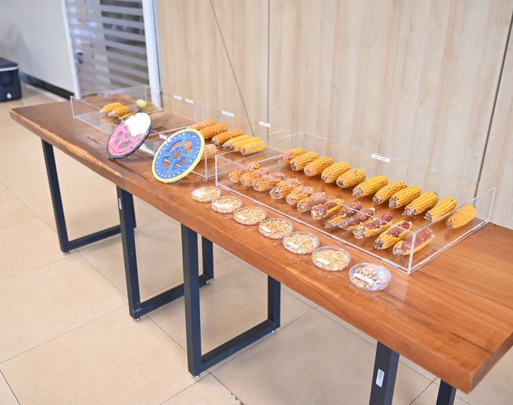 Eventos Corporativos de Seeds Experiênce - Bayer 2024 