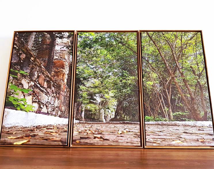 Quadros - Fotoart de Galeria