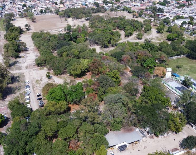 Meio Ambiente de Parque de Realengo se Torna Realidade