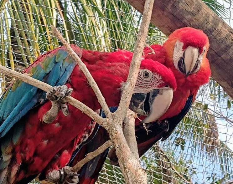 Turismo de Serra do Mendanha e suas Belezas