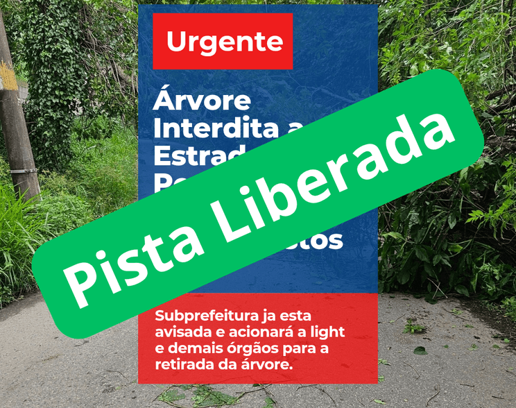 Meio Ambiente de Árvore cai sobre a Estrada do Pedregoso