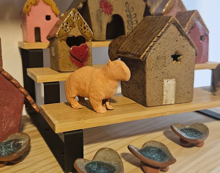 Empreeendedorismo na Zona Oeste de Ateliê Ceramista no Mendanha