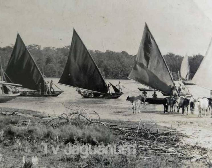 Documentários de Histórias das Canoas na Costa Verde