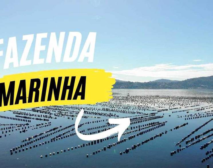 Empreendimentos de Fazenda Marinha - Aumentar a Produção de Alimentos