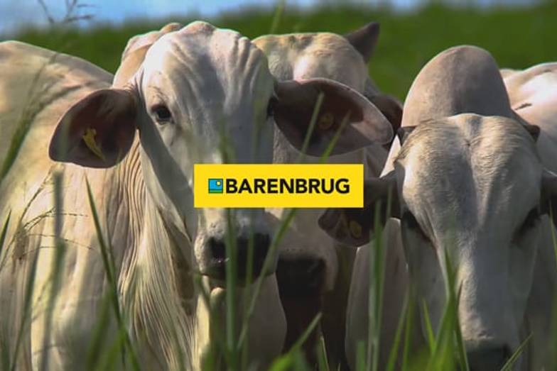 Agronegócio de BARENBRUG | No Campo com Inovação
