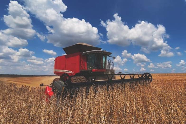 Agronegócio de MAFER | Colheita Soja