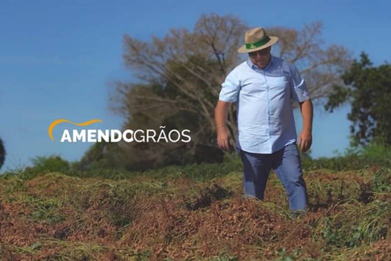 Agronegócio de Amendogrãos Peanuts