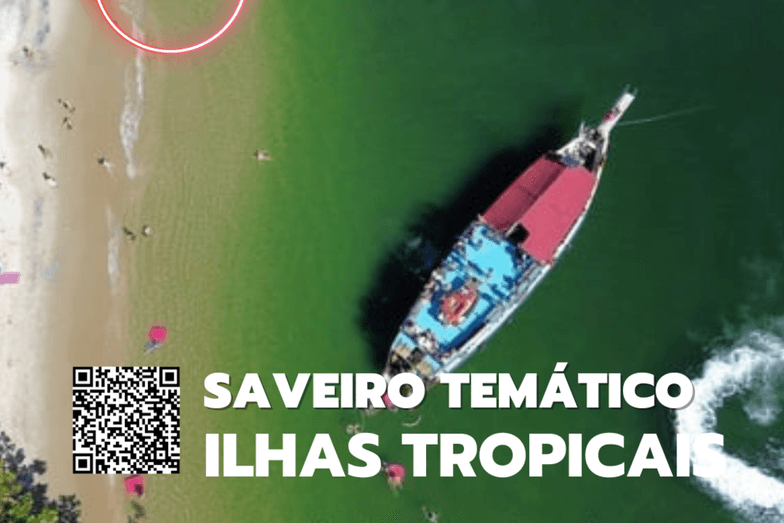 PASSEIO DE SAVEIROS EM ITACURUÇÁ de Saveiro Ilhas Tropicais