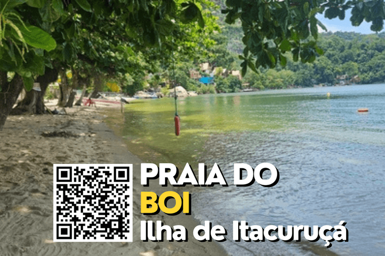ILHA DE ITACURUÇÁ de Praia do Boi