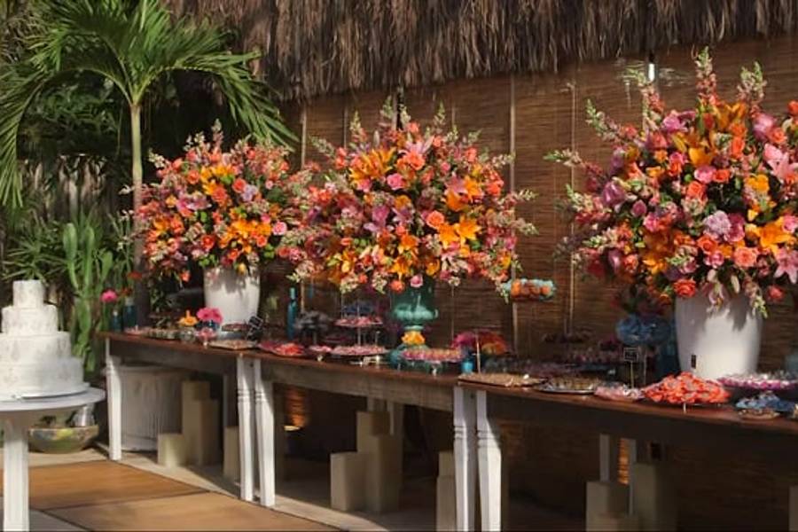 Vídeos de Búzios - Praia da Tartaruga - Flores Laranjas, Rosa