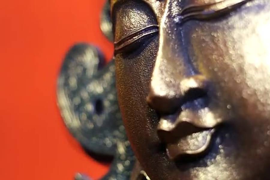 Vídeos de Dome Dining Club - Flores laranjas, rosas, amarelas.