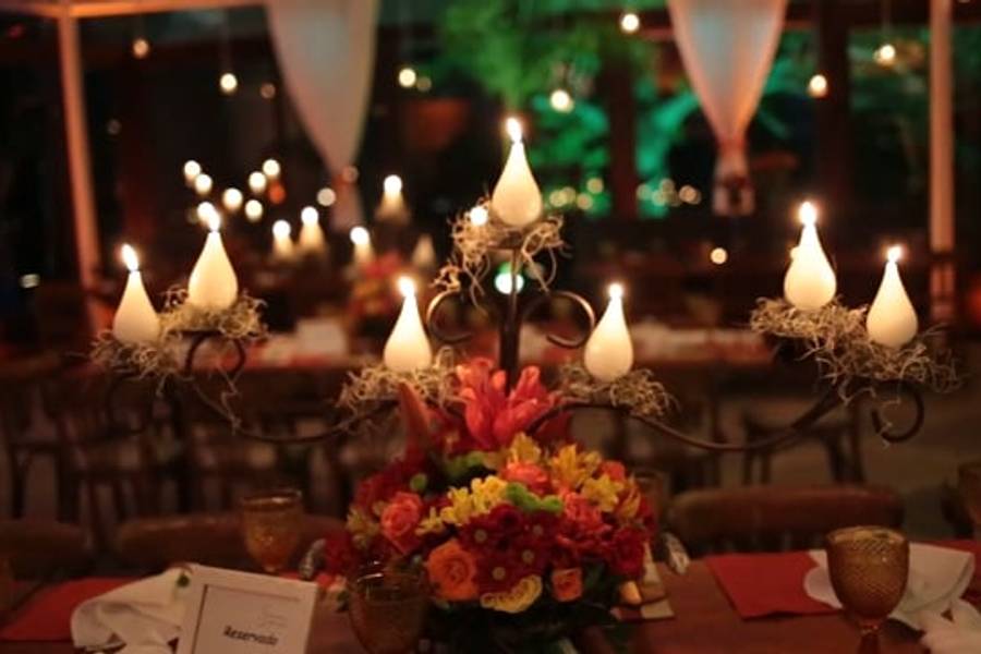 Vídeos de Zéfiro - Flores vermelhas, laranja e amarelo