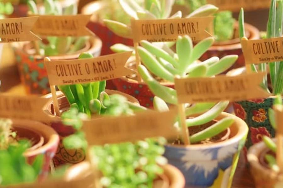 Vídeos de Decoração - Zéfiro Eventos - Flores Rosa, Laranja, Pink, Amarelo e toques de azul