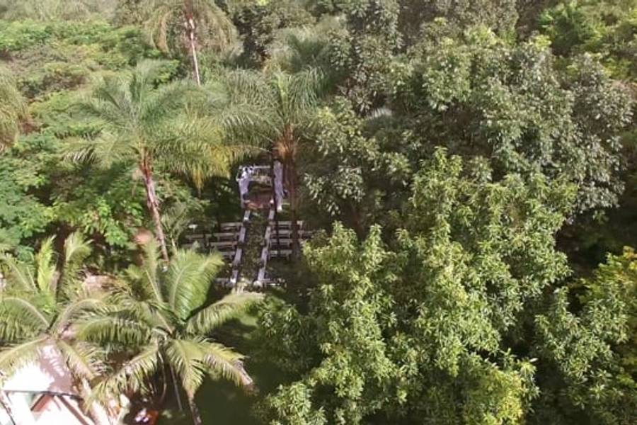 Casamentos de Trailer Hellen & Matheus - Green Park Park Way