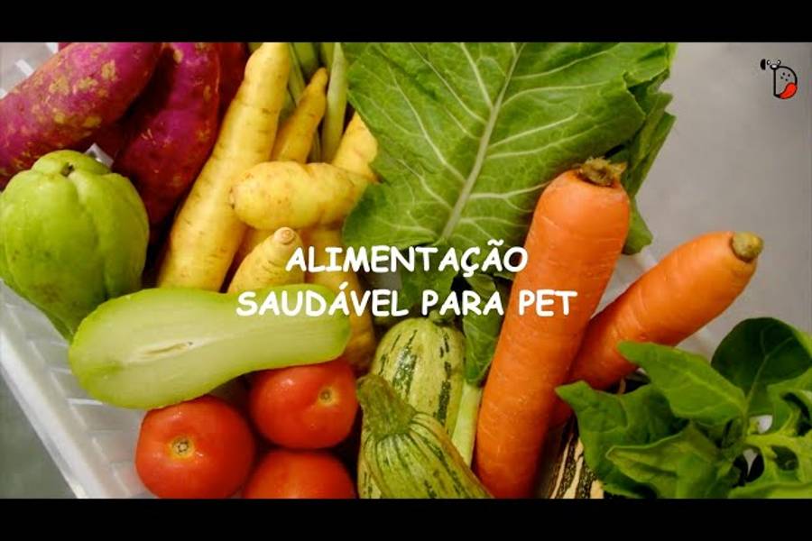 CORPORATIVO de Delipatas (Alimentação Natural Para Pets)