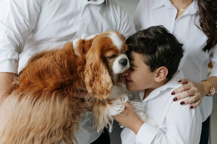 Família de ENSAIO DE FAMÍLIA COM PET - PEDRO E FIONA