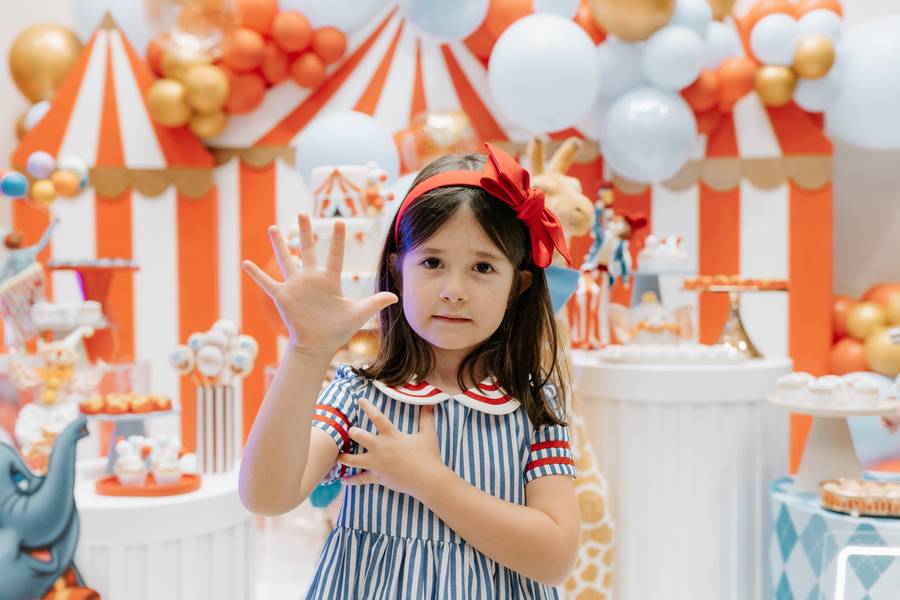 Festa Infantil de FESTA DE 5 ANOS DA MARIA - TEMA DUMBO