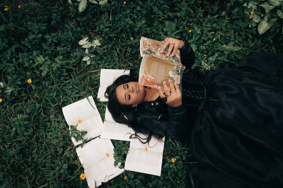 Ensaios de Ana Luiza