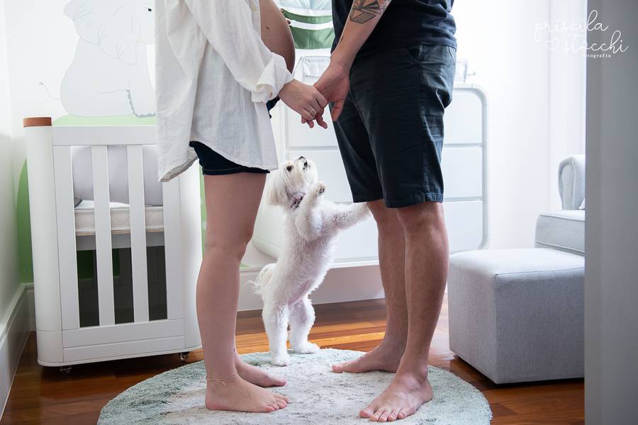 Gestante de Ensaio Gestante em Casa - Joaquim