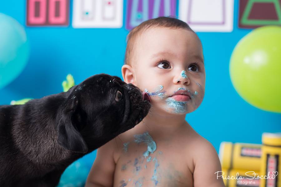 Smash the Cake de Smash the Cake - Guilherme 1 ano - Monstros SA