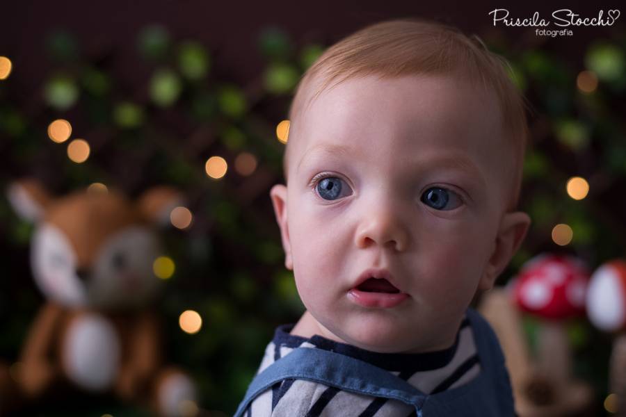 Bebês de Ensaio Fotográfico Bebê - Anthony 1 ano - Floresta