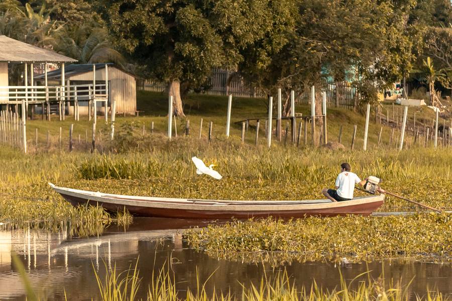 Paisagens de Vila Amazônia - Exploradores