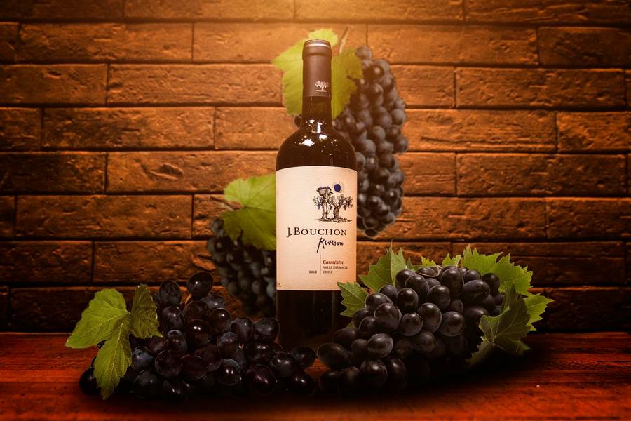 Gastronomia de Vinhos