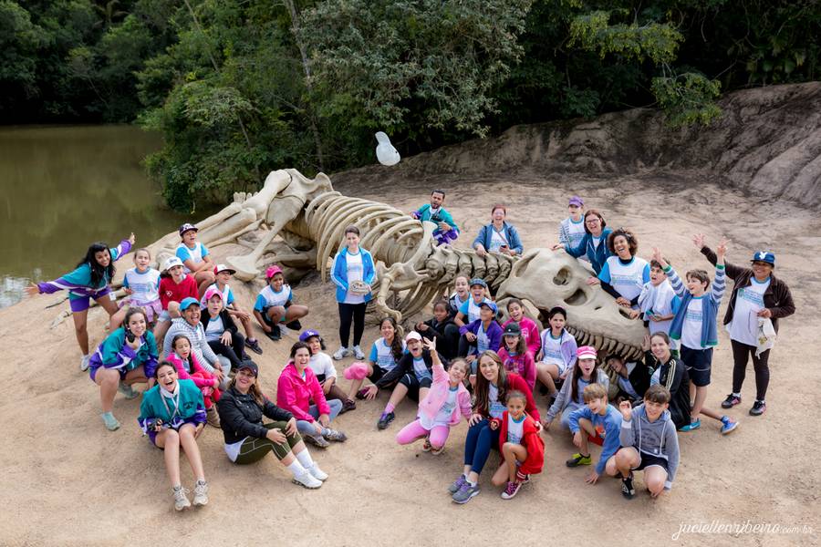 Corporativos de Portfólio Corporativos