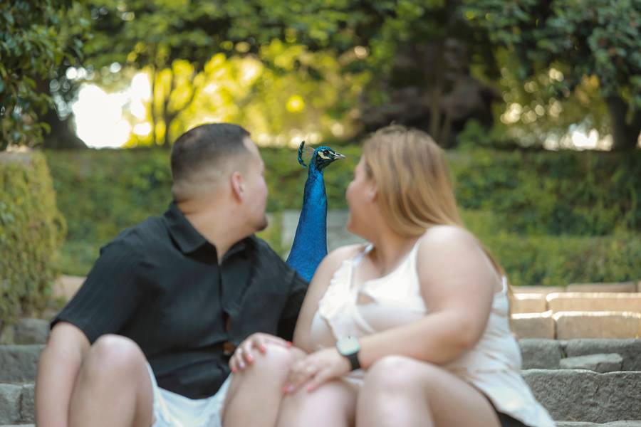 In love de Cláudia e João