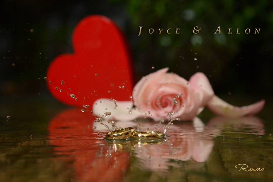 Fotos de casamento de Joyce e Arlon