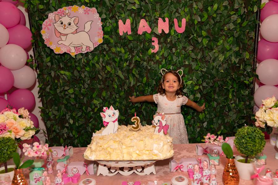 Aniversário de Aniversário da Manu - 3 aninhos