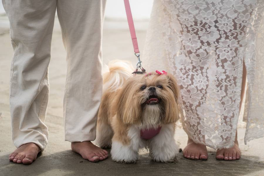 Ensaio Pré-Wedding de Danielle e Leonardo