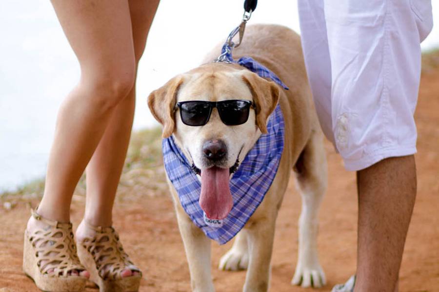 Pré Wedding de Marcela e Geovane