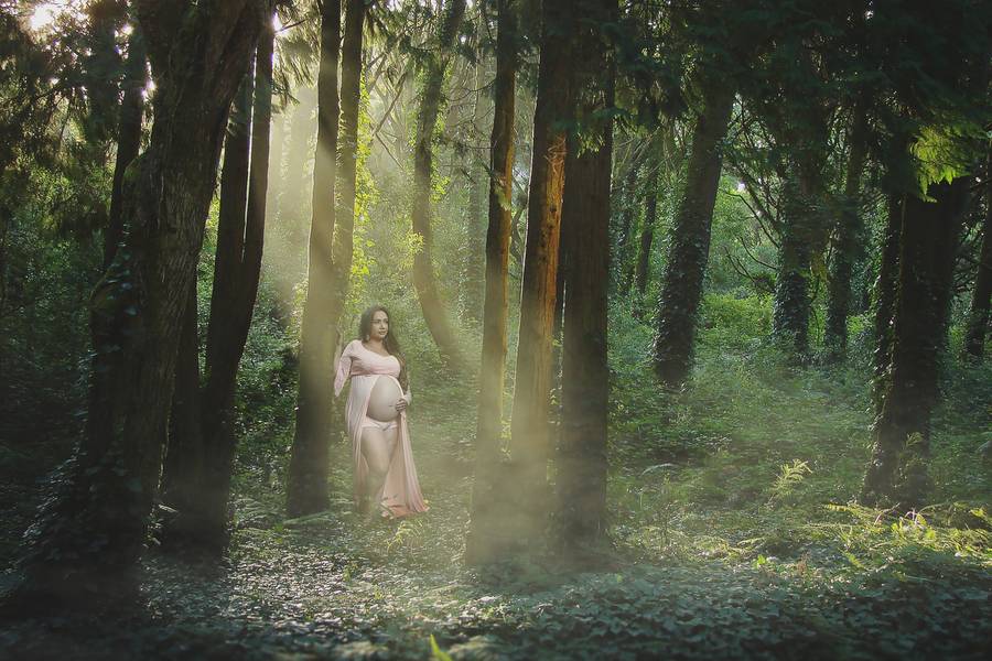 Ensaios de Ensaio Gestante Lacy