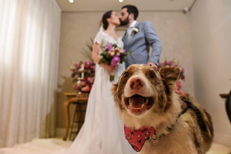 Alex Pedroso  de Priscilla & Leandro 