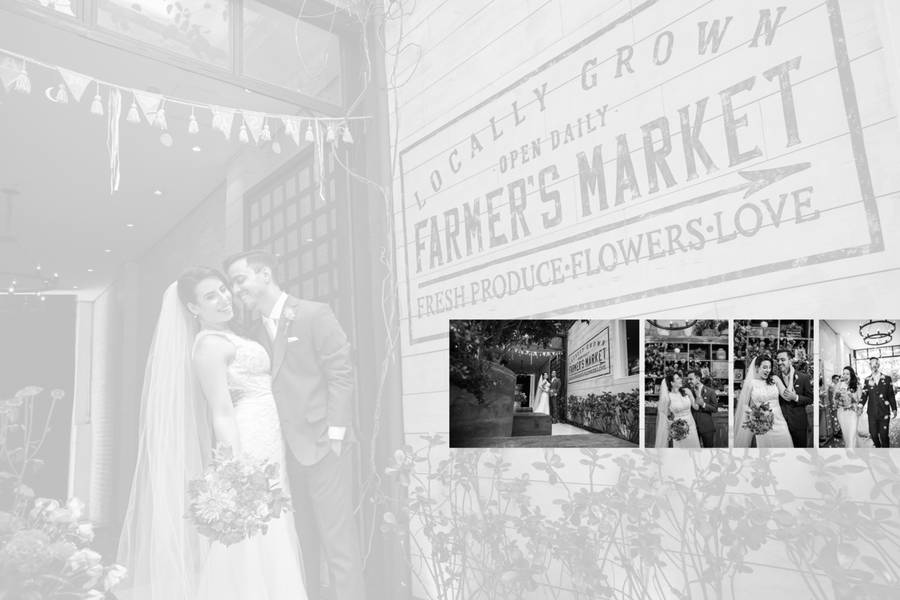 Alex Pedroso  de Celeiro Quintal - Gabriela e Bruno 