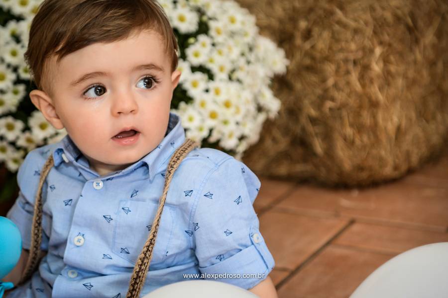 Aniversario infantil  de 1 Aninho de Felipe