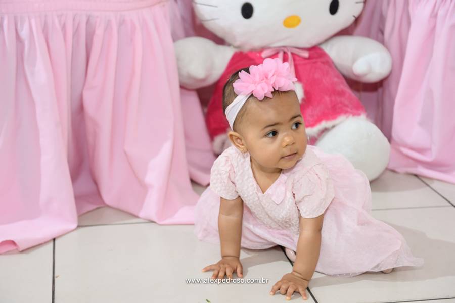 Aniversario infantil  de 1 Aninho de Marcela