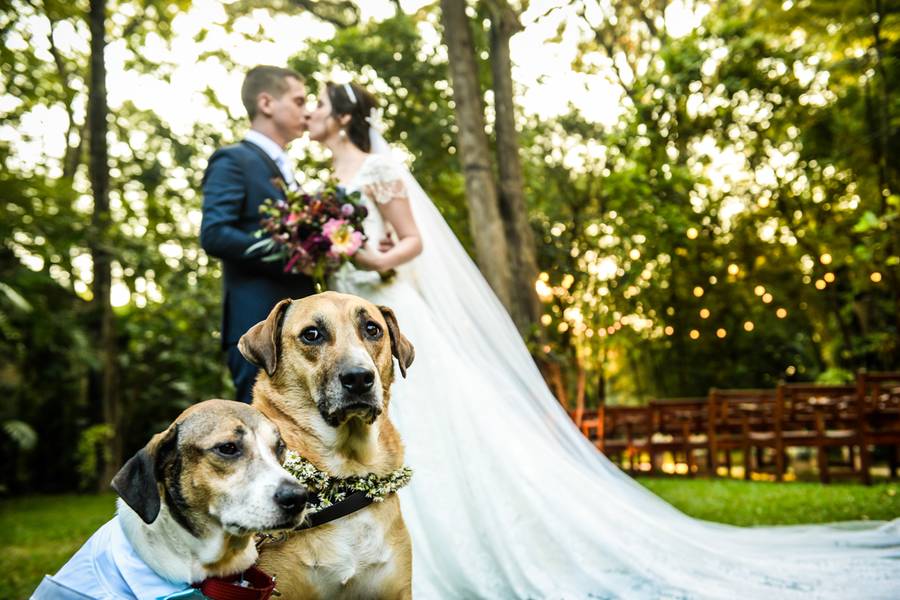 Alex Pedroso  de Leticia + Danilo