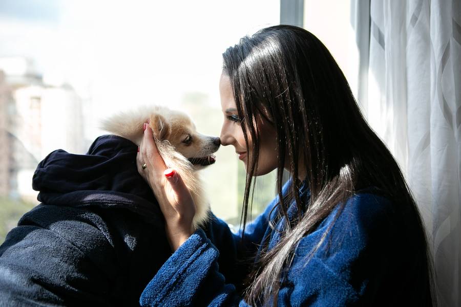 Ensaios para Pets e Tutores de Ensaio da Cristal - Lulu da Pomerânia