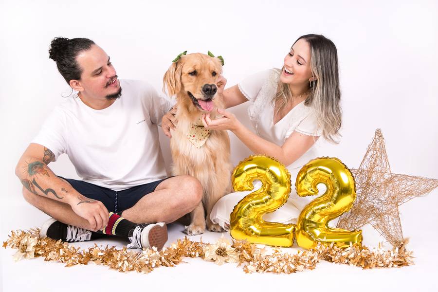 Ensaios para Pets e Tutores de Ensaio da Sunshine - Golden Retriever