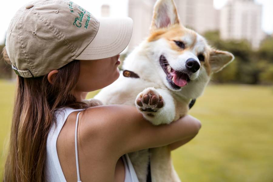 Fotos Comerciais para Marcas Pet de Fotos Lifestyle - Clube Doguês