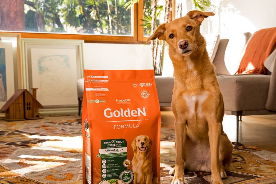 Fotos Comerciais para Marcas Pet de Golden