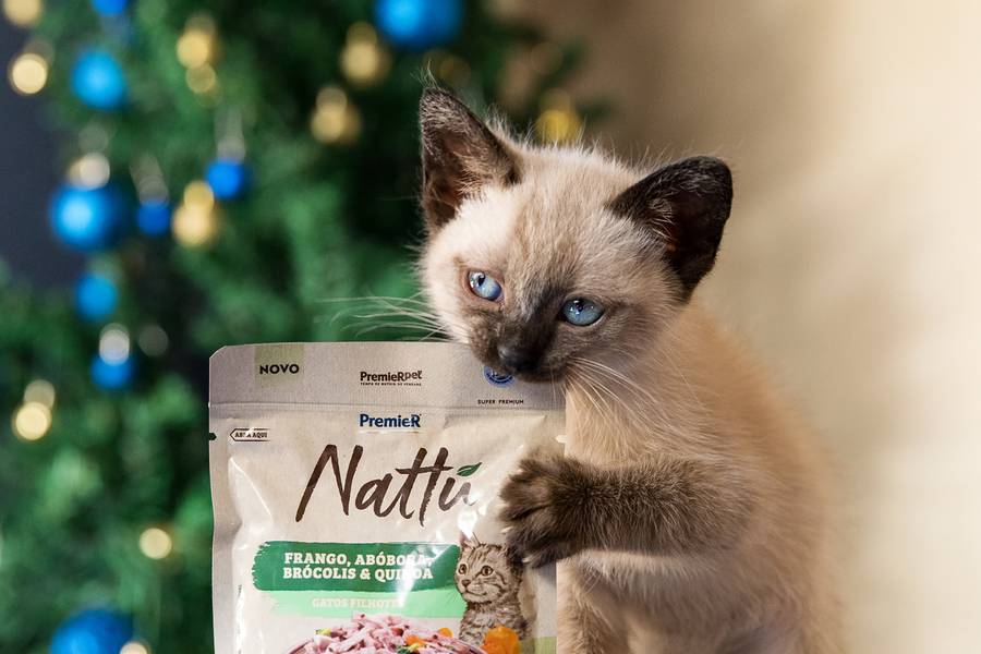 Fotos Comerciais para Marcas Pet de Nattú