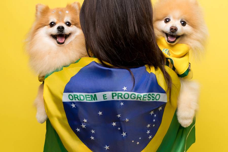 Ensaios para Pets e Tutores de Temáticos - Copa 2026