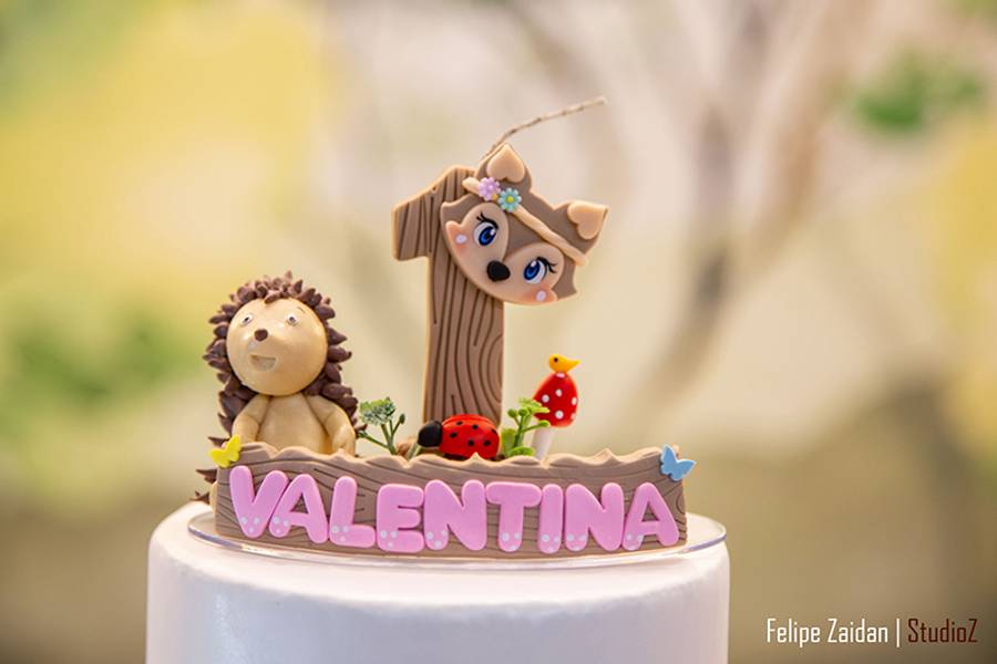 ANIVERSÁRIO |  BATIZADO de VALENTINA | ANIVERSÁRIO