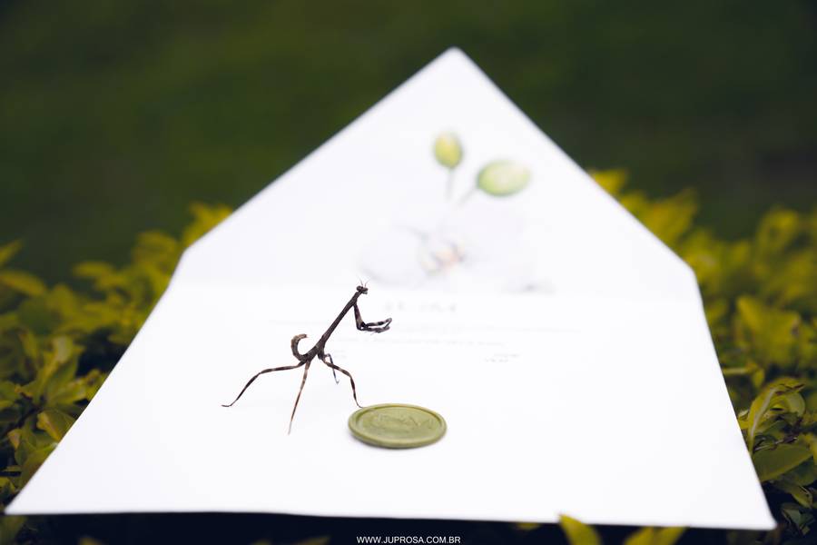 Casamentos de Leticia e Michel